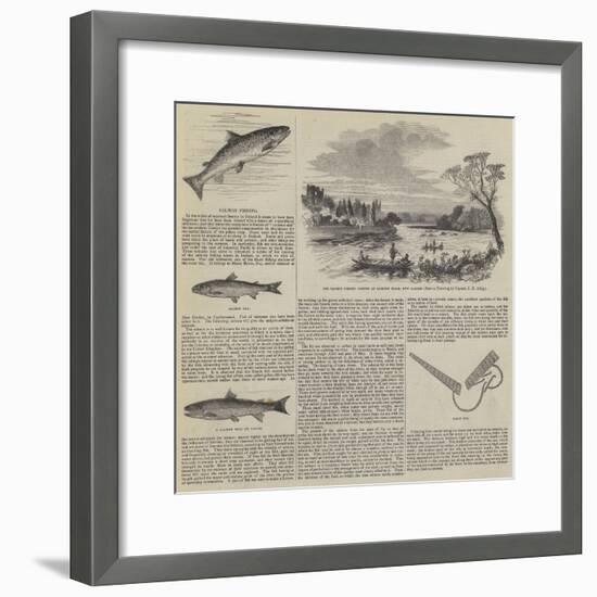 Salmon Fishing-null-Framed Giclee Print