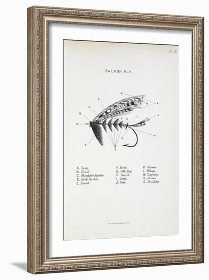 Salmon Fly. Fishing Tackle-Fraser Sandeman-Framed Giclee Print