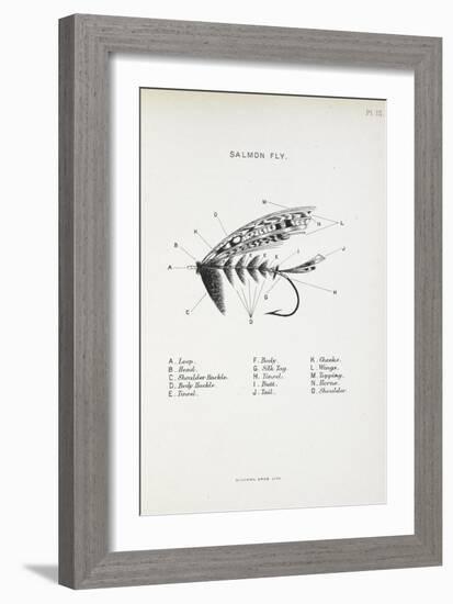 Salmon Fly. Fishing Tackle-Fraser Sandeman-Framed Giclee Print