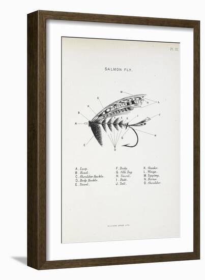 Salmon Fly. Fishing Tackle-Fraser Sandeman-Framed Giclee Print