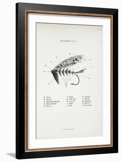 Salmon Fly. Fishing Tackle-Fraser Sandeman-Framed Giclee Print