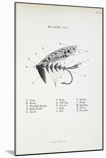 Salmon Fly. Fishing Tackle-Fraser Sandeman-Mounted Giclee Print