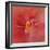 Salmon Hibiscus 1-Jai Johnson-Framed Giclee Print