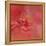 Salmon Hibiscus 2-Jai Johnson-Framed Premier Image Canvas