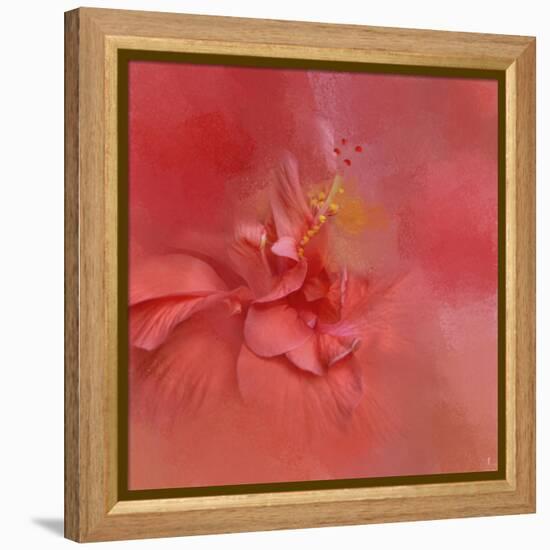 Salmon Hibiscus 2-Jai Johnson-Framed Premier Image Canvas