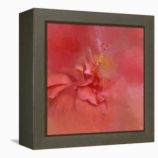 Salmon Hibiscus 2-Jai Johnson-Framed Premier Image Canvas