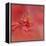 Salmon Hibiscus 2-Jai Johnson-Framed Premier Image Canvas