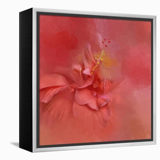 Salmon Hibiscus 2-Jai Johnson-Framed Premier Image Canvas