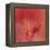 Salmon Hibiscus 3-Jai Johnson-Framed Premier Image Canvas