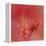 Salmon Hibiscus 3-Jai Johnson-Framed Premier Image Canvas