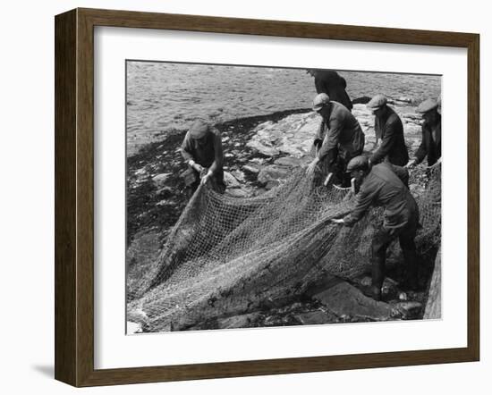 Salmon in Nets-null-Framed Photographic Print