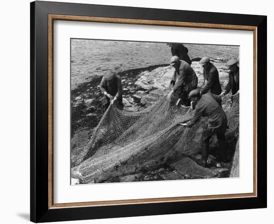 Salmon in Nets-null-Framed Photographic Print