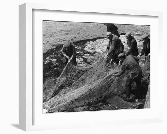 Salmon in Nets-null-Framed Photographic Print