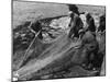 Salmon in Nets-null-Mounted Photographic Print