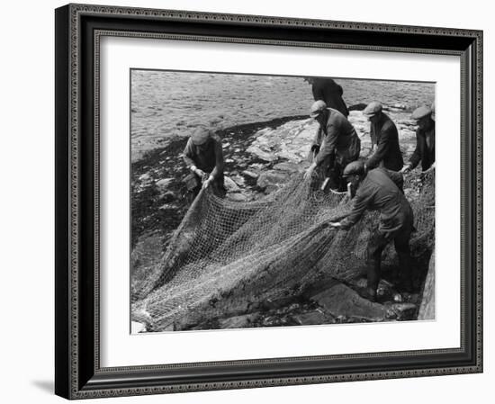 Salmon in Nets-null-Framed Photographic Print