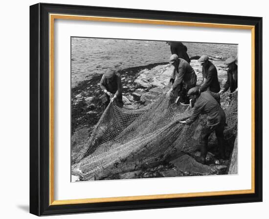 Salmon in Nets-null-Framed Photographic Print