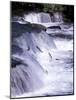 Salmon Leap Over Brooks Falls at Katmai National Park, Alaska, USA-Gavriel Jecan-Mounted Photographic Print