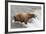 Salmon Leaps into the Mouth of a Brown (Grizzly) Bear-Hal Beral-Framed Photographic Print