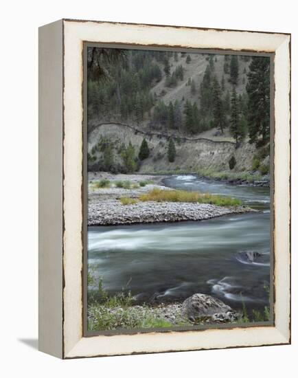 Salmon River, Idaho, USA-Gerry Reynolds-Framed Premier Image Canvas