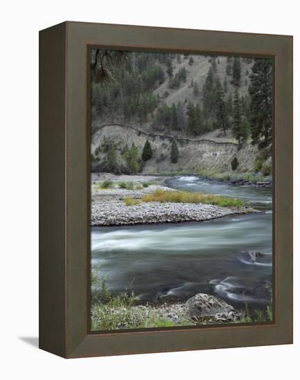 Salmon River, Idaho, USA-Gerry Reynolds-Framed Premier Image Canvas