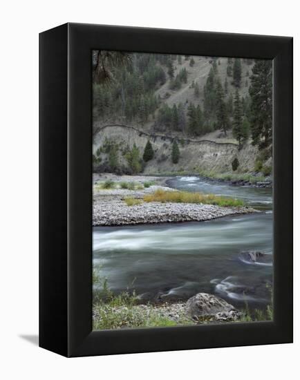 Salmon River, Idaho, USA-Gerry Reynolds-Framed Premier Image Canvas