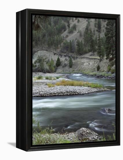 Salmon River, Idaho, USA-Gerry Reynolds-Framed Premier Image Canvas