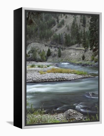 Salmon River, Idaho, USA-Gerry Reynolds-Framed Premier Image Canvas