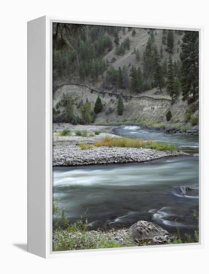 Salmon River, Idaho, USA-Gerry Reynolds-Framed Premier Image Canvas