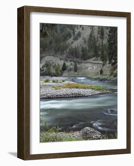 Salmon River, Idaho, USA-Gerry Reynolds-Framed Photographic Print