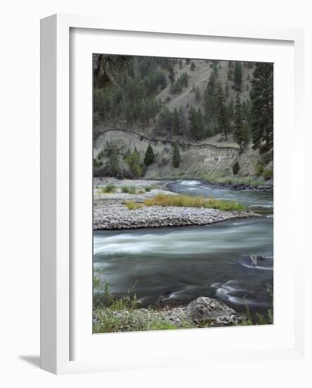 Salmon River, Idaho, USA-Gerry Reynolds-Framed Photographic Print