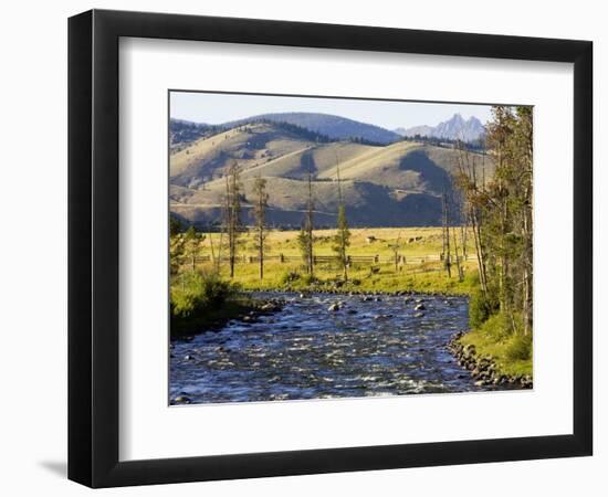 Salmon River near Stanley, Idaho, USA-Chuck Haney-Framed Photographic Print