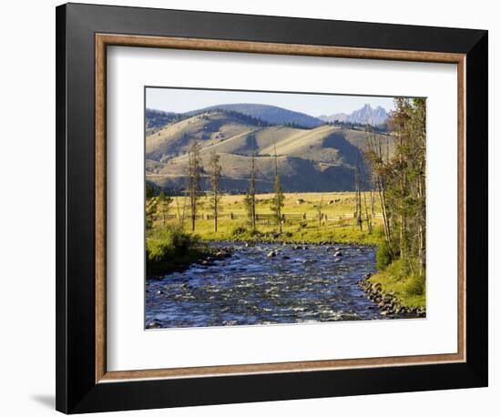 Salmon River near Stanley, Idaho, USA-Chuck Haney-Framed Photographic Print