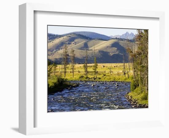 Salmon River near Stanley, Idaho, USA-Chuck Haney-Framed Photographic Print