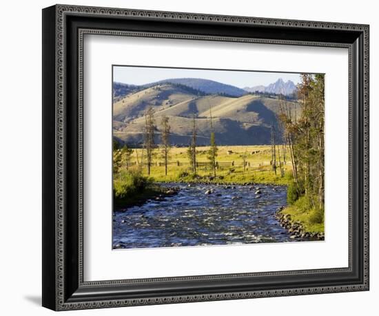 Salmon River near Stanley, Idaho, USA-Chuck Haney-Framed Photographic Print