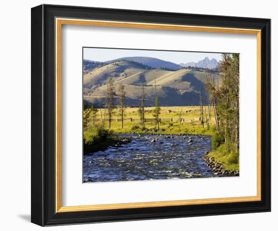 Salmon River near Stanley, Idaho, USA-Chuck Haney-Framed Photographic Print