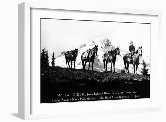 Salmon River Park, Oregon - Man with Horses, Mt Hood in Distance-Lantern Press-Framed Art Print
