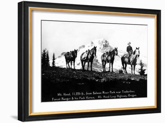 Salmon River Park, Oregon - Man with Horses, Mt Hood in Distance-Lantern Press-Framed Art Print