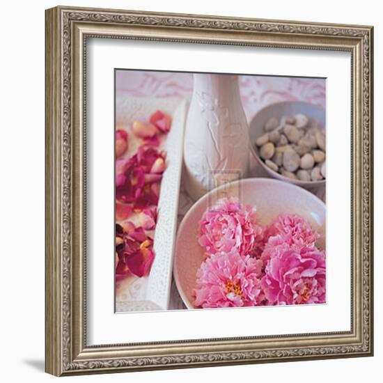 Salmon Rose I-Bill Philip-Framed Art Print