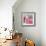 Salmon Rose I-Bill Philip-Framed Art Print displayed on a wall