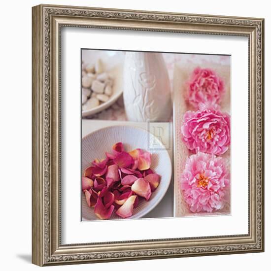 Salmon Rose II-Bill Philip-Framed Art Print