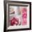 Salmon Rose II-Bill Philip-Framed Art Print