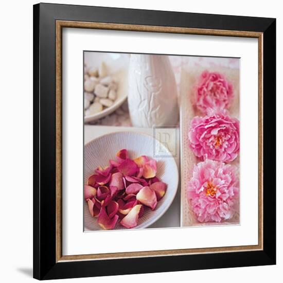 Salmon Rose II-Bill Philip-Framed Art Print