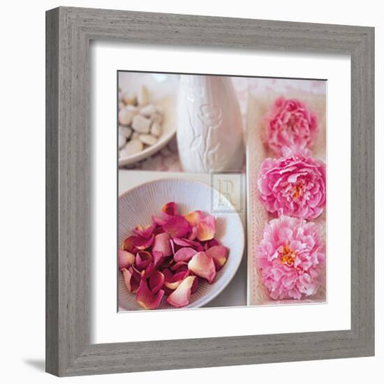 Salmon Rose II-Bill Philip-Framed Art Print