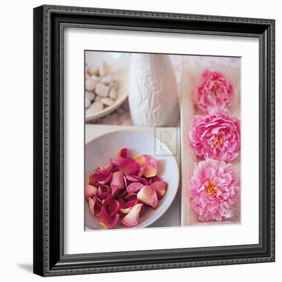 Salmon Rose II-Bill Philip-Framed Art Print