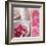 Salmon Rose II-Bill Philip-Framed Art Print