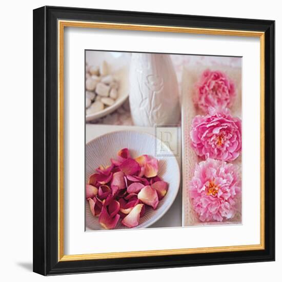 Salmon Rose II-Bill Philip-Framed Art Print