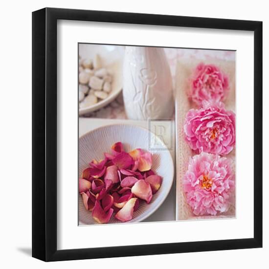 Salmon Rose II-Bill Philip-Framed Art Print