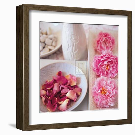 Salmon Rose II-Bill Philip-Framed Art Print