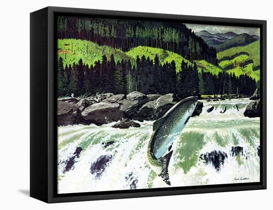 Salmon Run-Fred Ludekens-Framed Premier Image Canvas