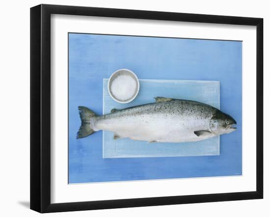 Salmon with a Dish of Sea Salt-Jan-peter Westermann-Framed Photographic Print